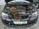 bmw deer crash accident