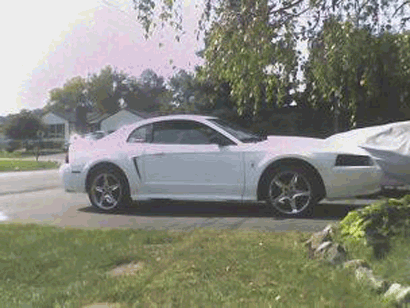 Mustang crash
