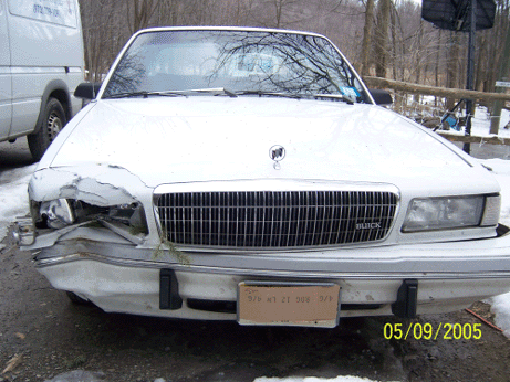 Deer buick crash