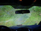 Deer windshield