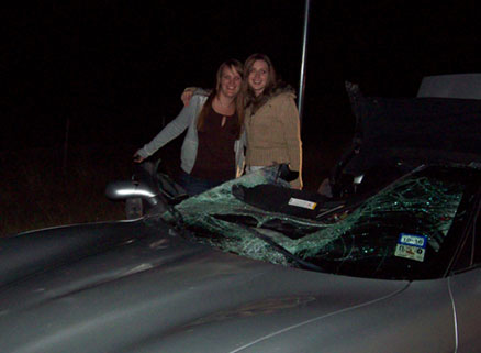 Deer CRash